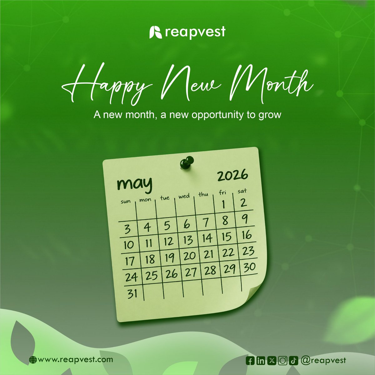 This May, we are doubling down on helping you access secure investment opportunities, from money market funds to real estate and dollar-backed assets. 

Here’s to a new month of growth, discipline, and returns. 

#HappyNewMonth #Reapvest #InvestSmart #WealthInProgress