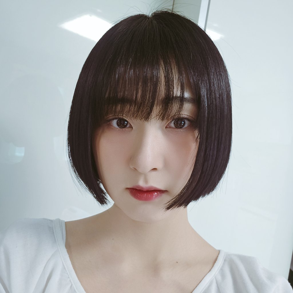 Minmii42's tweet photo. タヌから早めの誕プレ貰った！欲しかった本！！ 後またも髪をバッサリ切りました…☆ https://t.co/t2lBLhksid