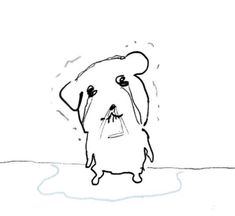 코 木I tweet media