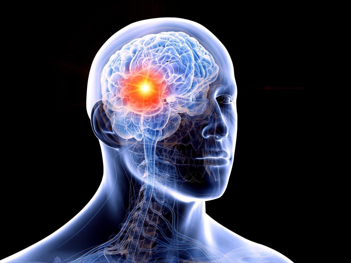 Neural Space tweet media