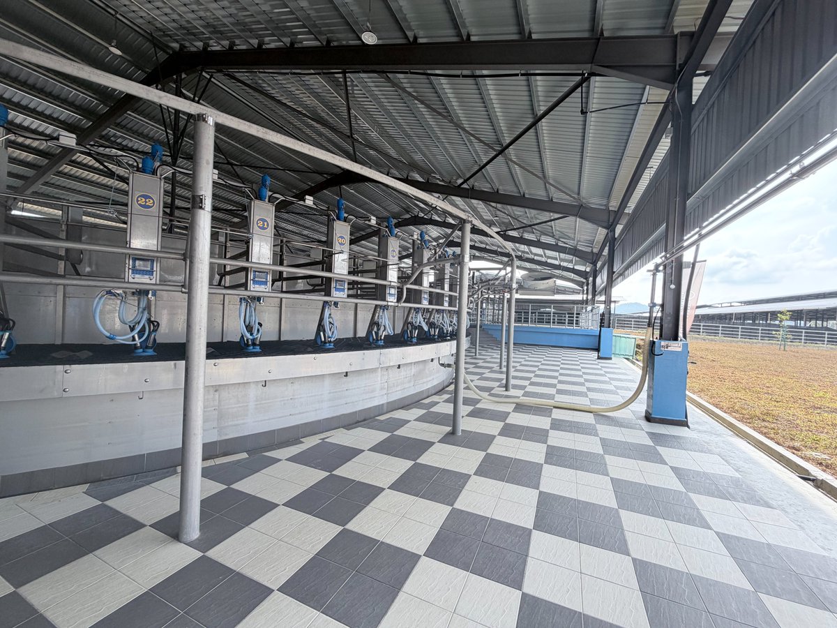 dairymaster's tweet photo. Our team recently travelled back to Malaysia to check in on this impressive rotary project, now smoothly milking 4,000 cows 🐄 A real credit to the team on the ground for maintaining such exceptional standards. 👏🚿 https://t.co/IA6P8q3A3L