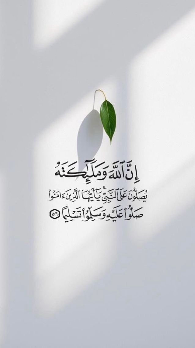 💙جود💙 tweet media