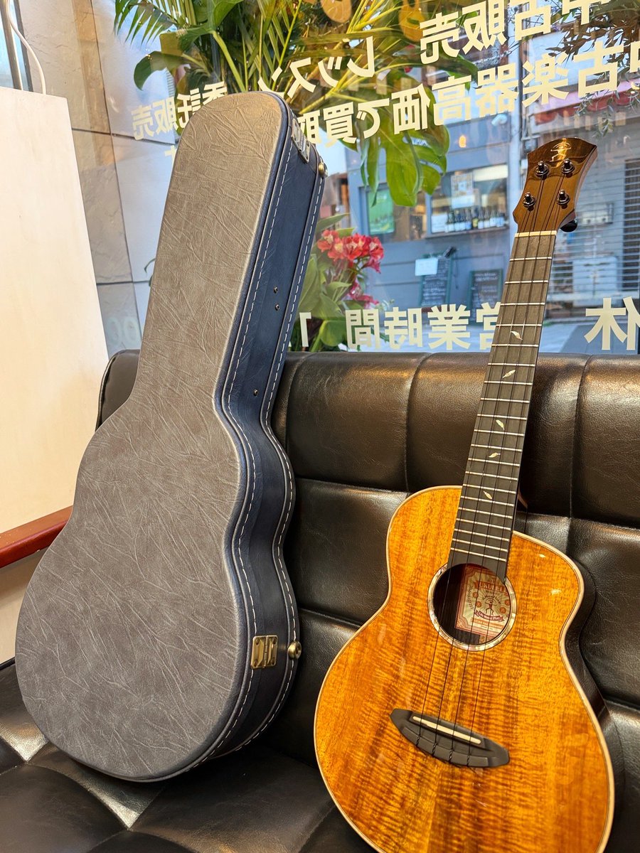 UKULELE BIRD tweet media