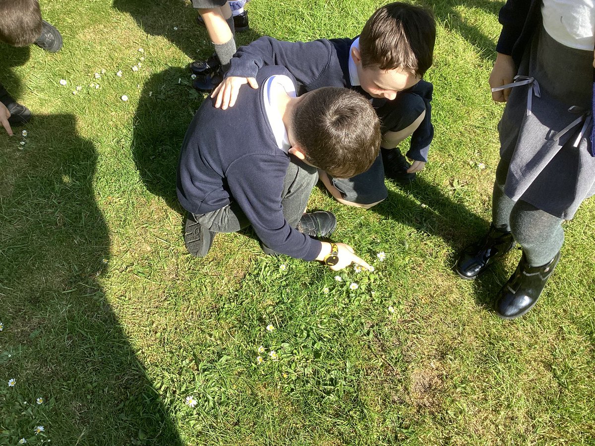 Yew Tree Primary School tweet media