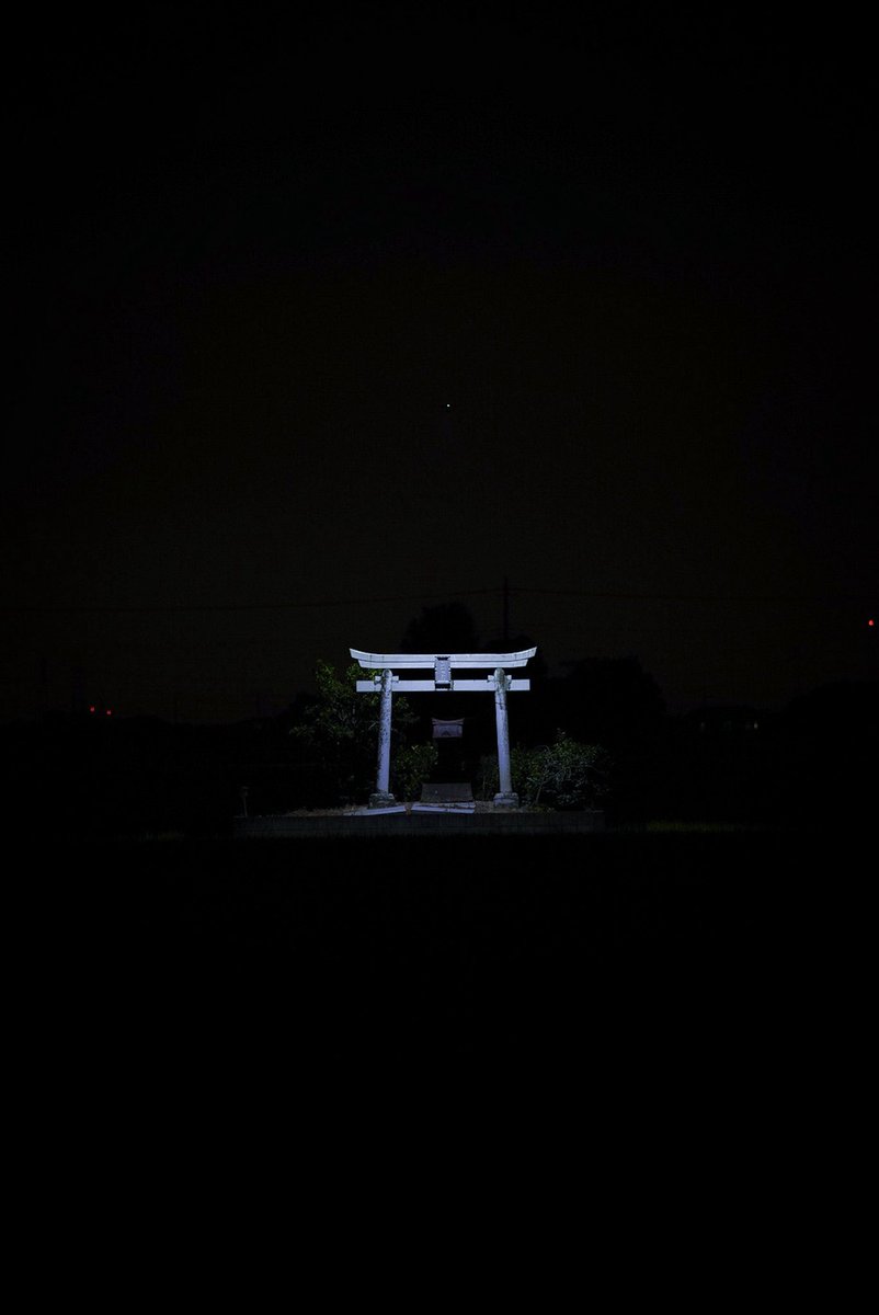 鯨𓅨 tweet media