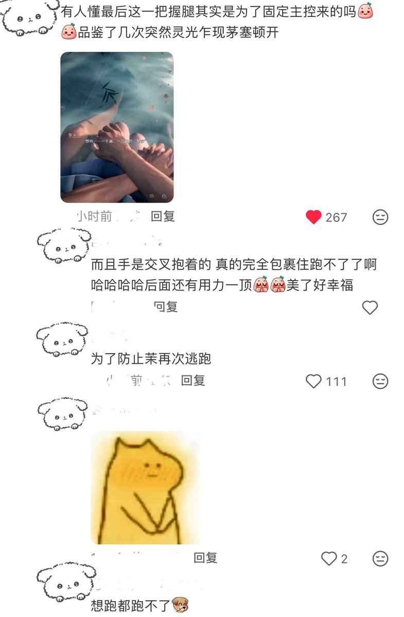 我爱小狗 tweet media