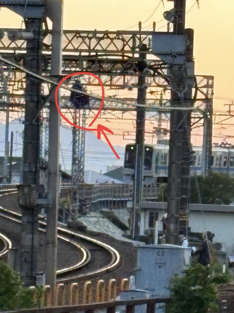 鉄道･航空関連Channel!!【𝕏】 tweet media