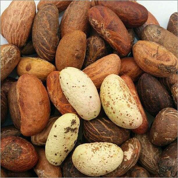 SAFO NYAME HERBAL THERAPEUTICS tweet media