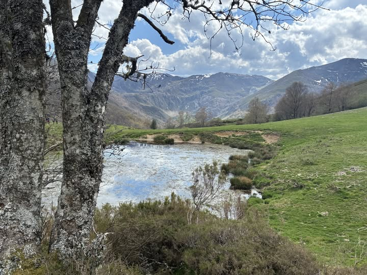 TOUS P@ TOUS - Cangas del Narcea tweet media