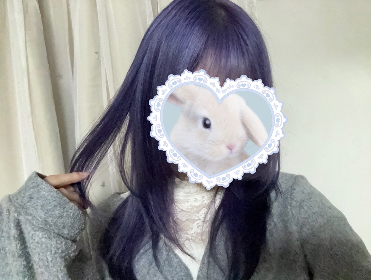 らずろん🍰໒꒱ tweet media