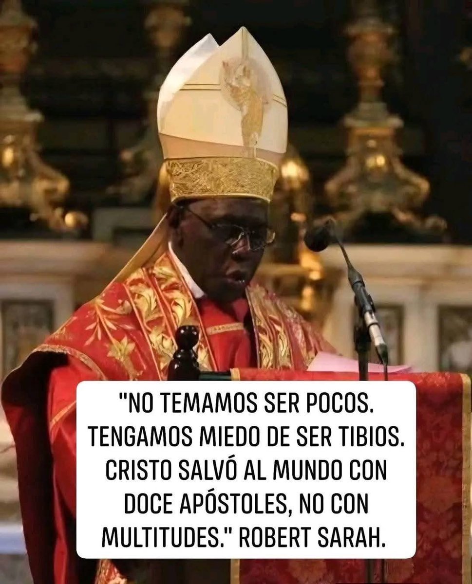 Zolxoníssimo (@eduardobr77) on Twitter photo 