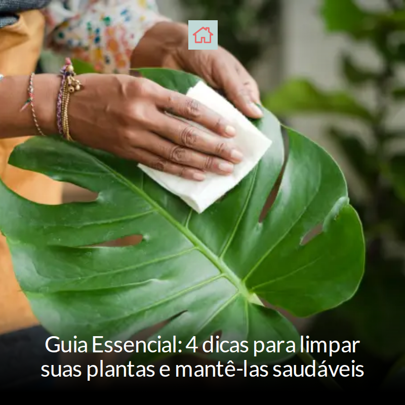 casacombr's tweet image. 🌱✨ Mantenha suas plantas saudáveis com estas 4 dicas infalíveis! Limpeza é a chave para um crescimento vigoroso. Remova a poeira, seque após regar e personalize os cuidados! Aprenda como garantir que suas 'filhas verdes' prosperem! #Jardinagem... mrf.lu/F6GF