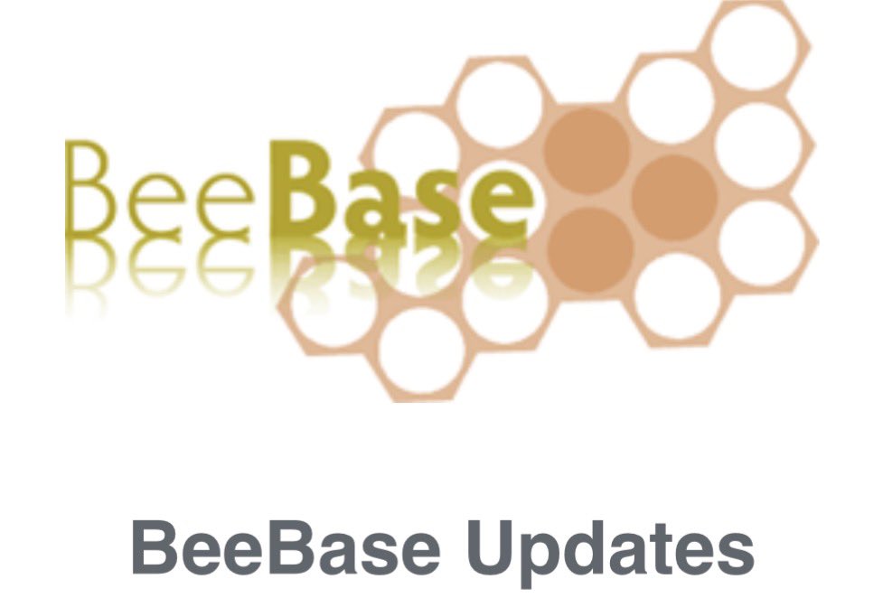 Scottish Beekeepers tweet media