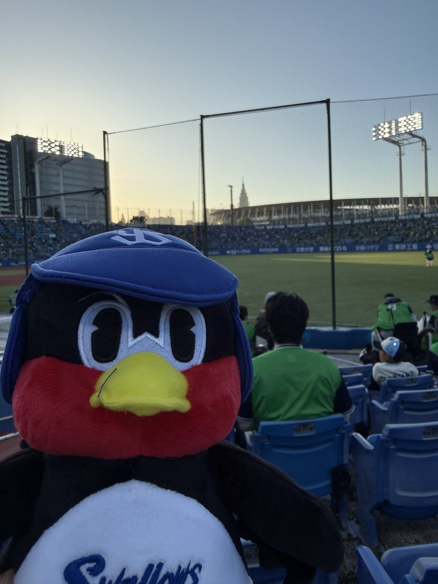 みそぱん tweet media