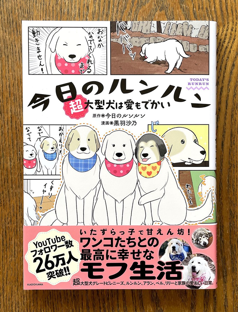 \Work!/ 『今日のルンルン 超大型犬は愛もでかい』(原作◉今日のルンルン/漫画◉黒羽沙乃/KADOKAWA/A5判)本文フルカラー!絶賛発売中!