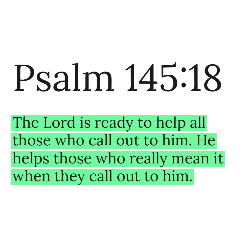Holy Bible tweet media
