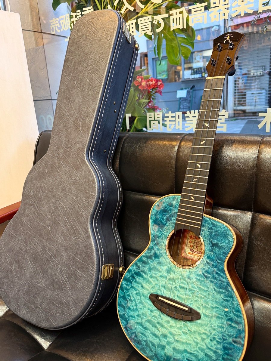 UKULELE BIRD tweet media