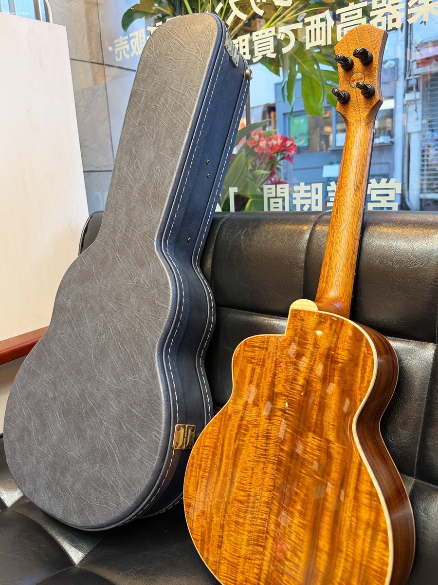 UKULELE BIRD tweet media