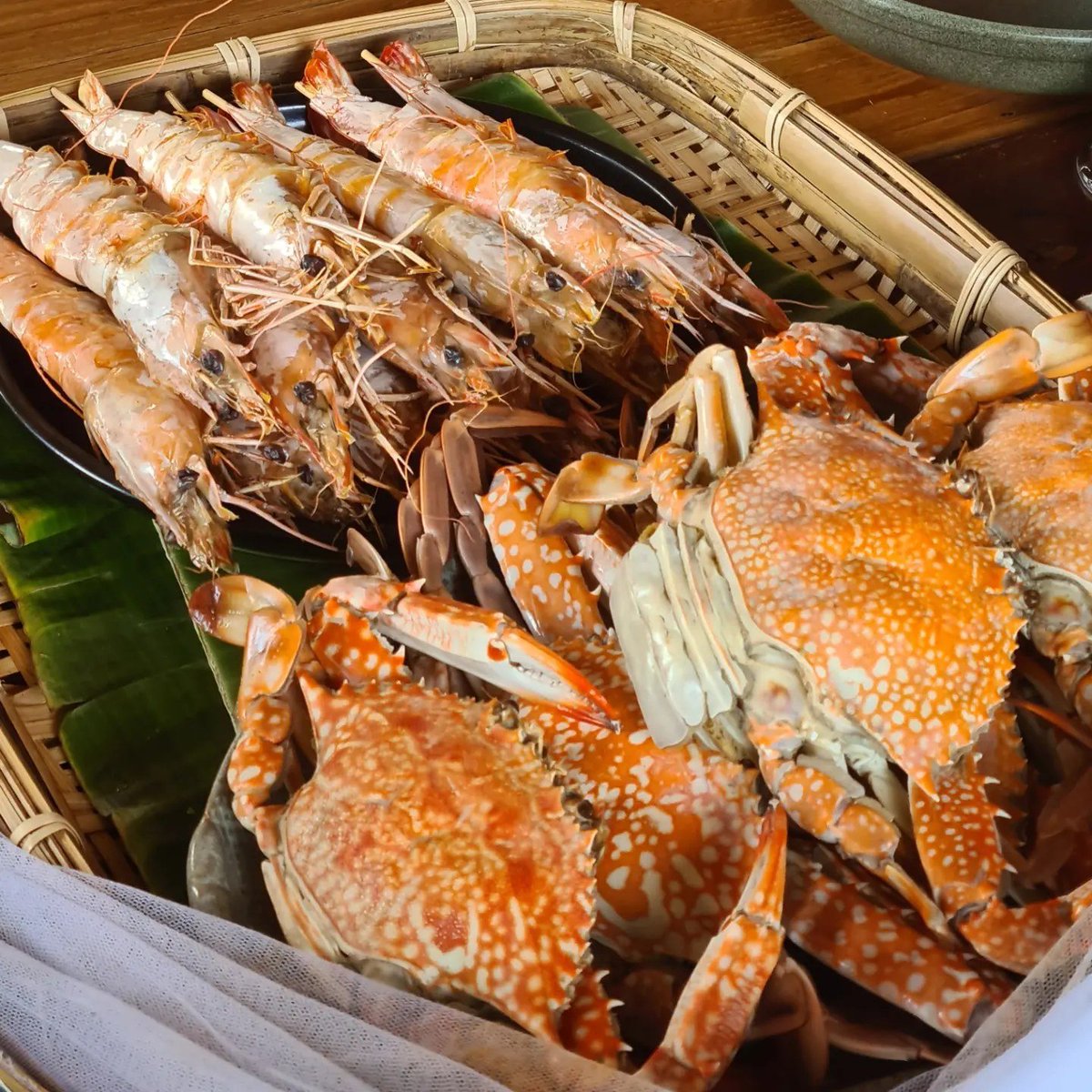 fluglehrer_neu's tweet image. 010524 #archiv #samui freunde luden mich in spezielles lokal ein, keine speisekarte, gegessen wird was wirt in der früh im meer gefangen hat, riesige portionen 
#michelin was auch dort ;-)
