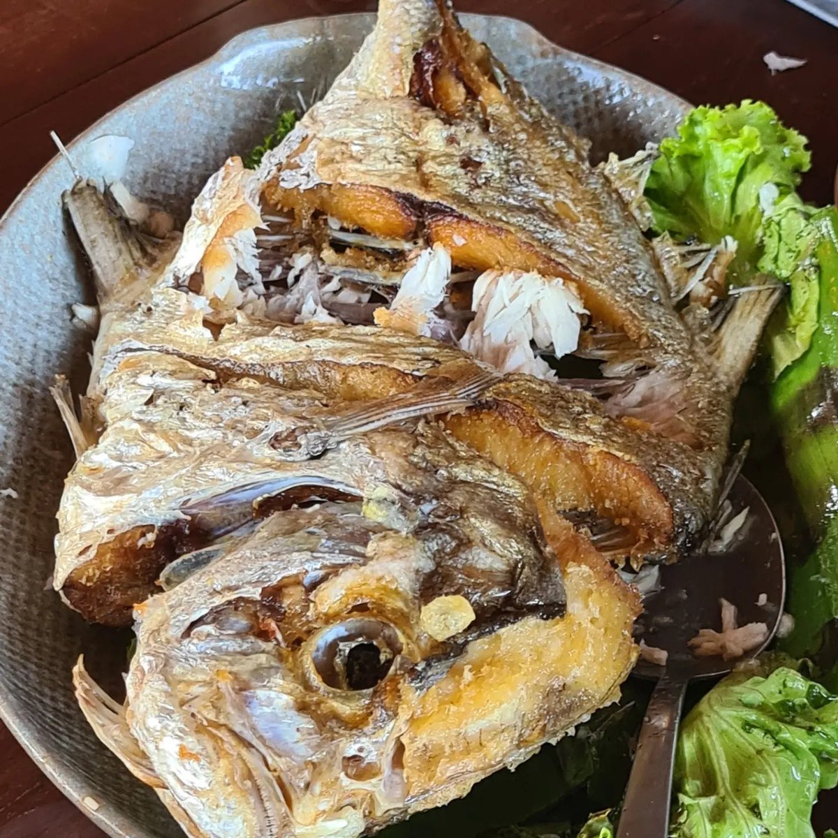 fluglehrer_neu's tweet image. 010524 #archiv #samui freunde luden mich in spezielles lokal ein, keine speisekarte, gegessen wird was wirt in der früh im meer gefangen hat, riesige portionen 
#michelin was auch dort ;-)
