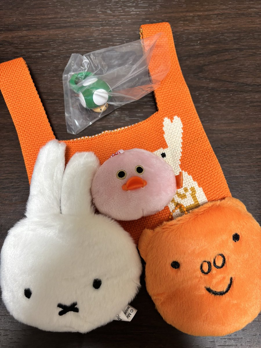 wingedmode's tweet photo. 時期間違えなモフモフ〜♡
可愛いので満足じゃ！ https://t.co/WfZQva9miV