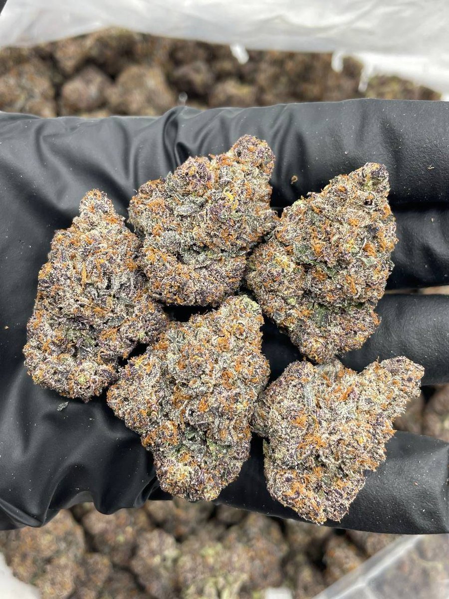 Georgiabuds's tweet photo. Weed Svetitskhoveli Cathedral, Weed Jvari Monastery, Weed Kazbegi, Weed Gergeti Trinity Church, Weed Gudauri, Weed Svaneti, Weed Mestia, Weed Ushguli, Weed Chalaadi Glacier, Weed Borjomi, Weed Bakuriani, Weed Vardzia, Weed Rabati Castle, Weed Akhaltsikhe https://t.co/HpL0I5y8bX