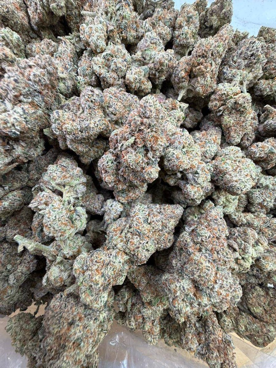 Georgiabuds's tweet photo. Weed Signagi, Weed Telavi, Weed Alaverdi Monastery, Weed Tusheti, Weed Omalo, Weed Lagodekhi National Park, Weed David Gareja, Weed Uplistsikhe, Weed Gori, Weed Martvili Canyon, Weed Okatse Canyon, Weed Prometheus Cave, Weed Sataplia https://t.co/fU213Iu0kM