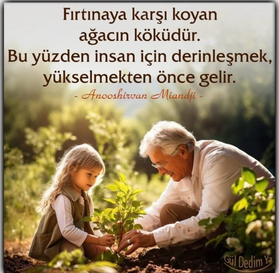 Ali Nejat Apaydın (@alinejatapaydin) on Twitter photo 