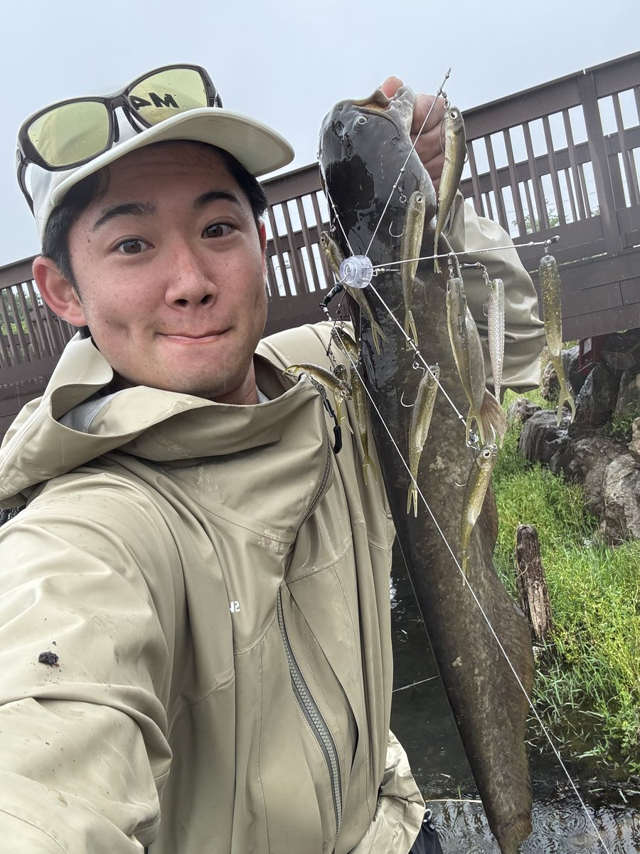 すがー tweet media