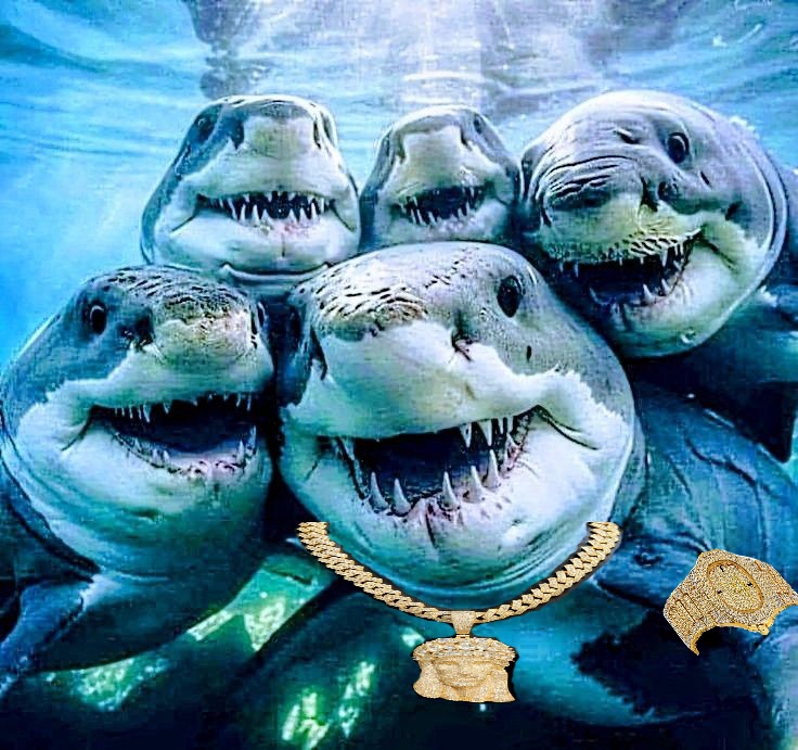 Shark tweet media