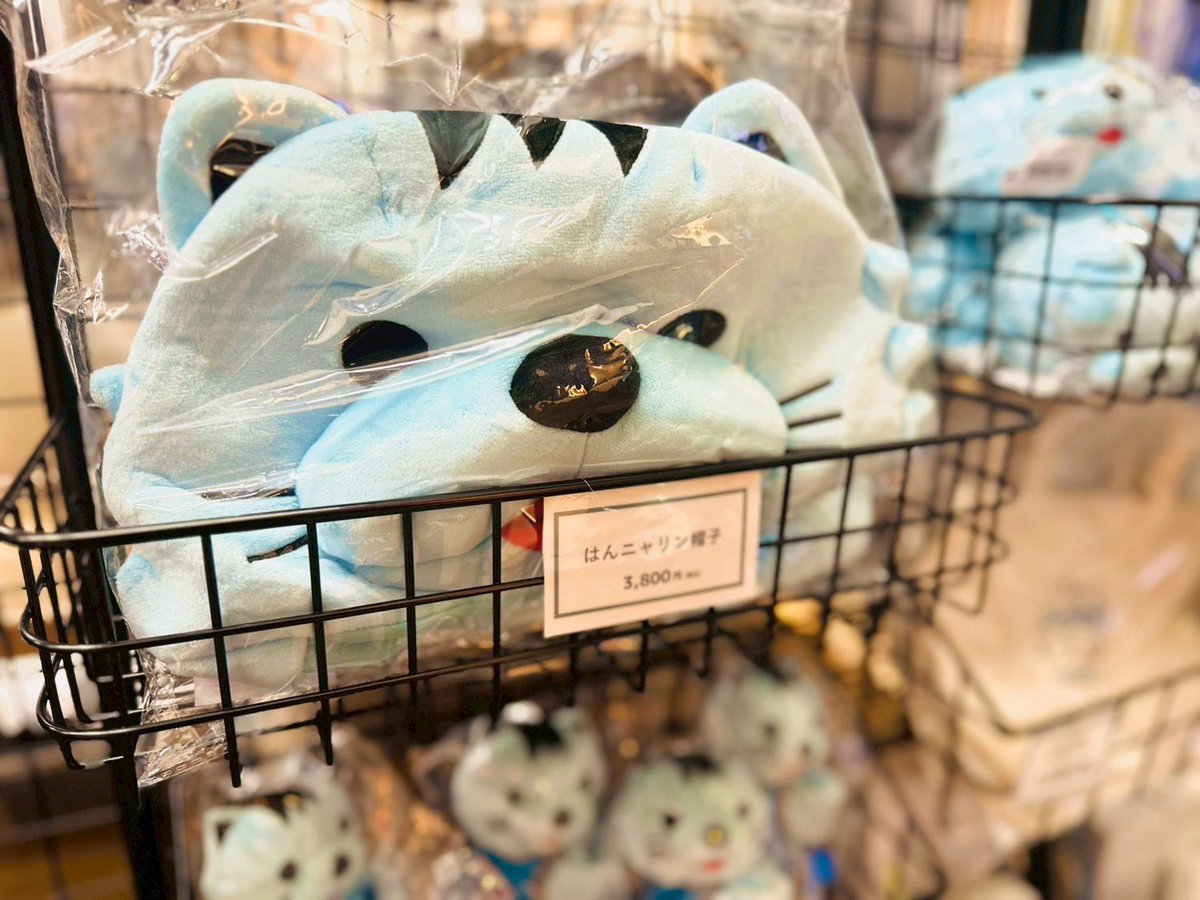【 推活本舗 】 ぽらりすた - KYOTO - tweet media