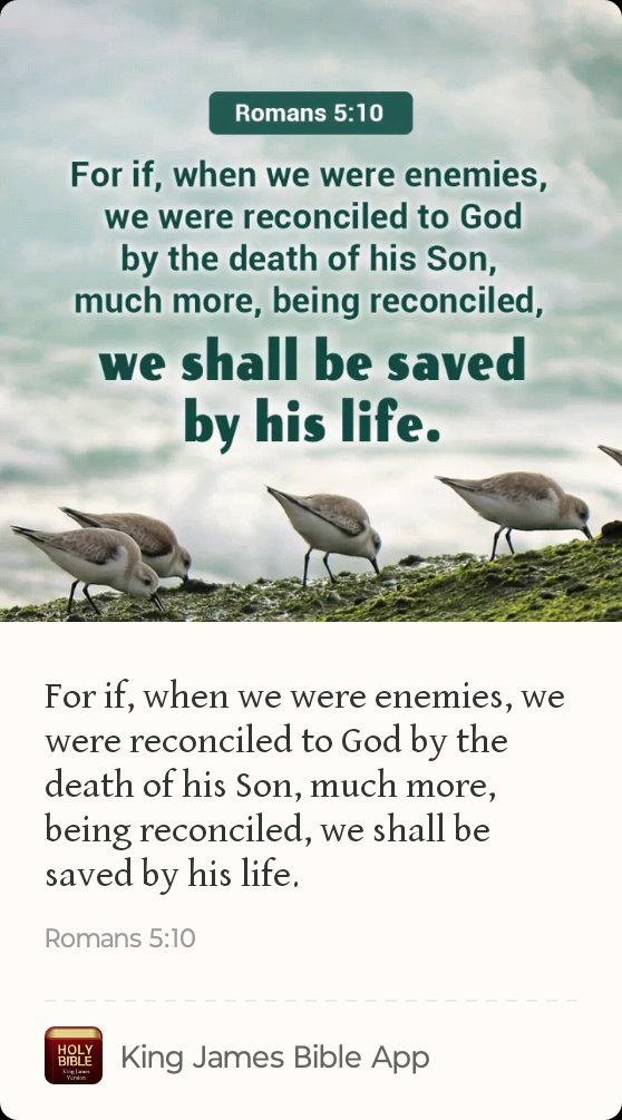Audrey Wood (@awood5577) on Twitter photo 