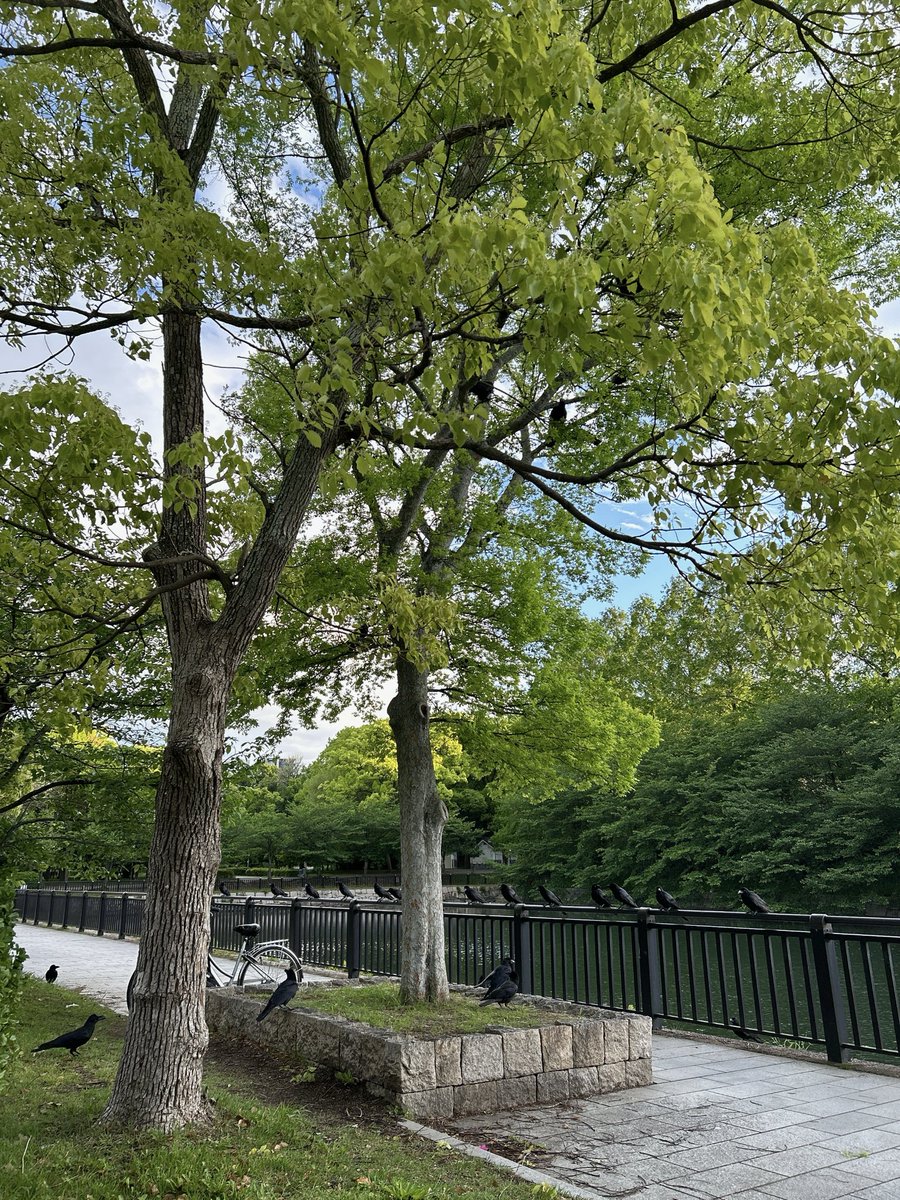 Lala🌿内向型でも伸びる英語習慣 tweet media