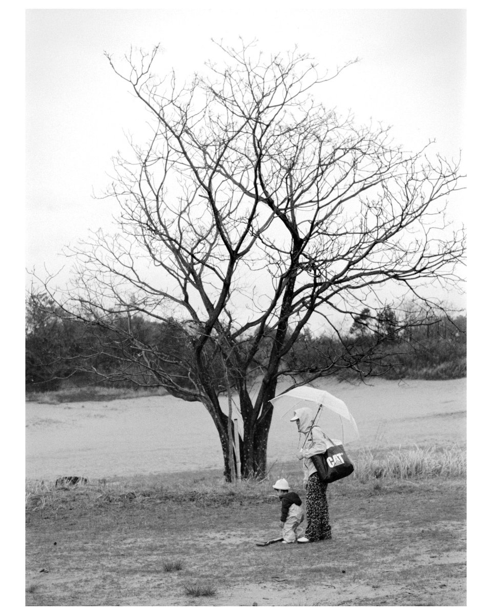 gauss0000's tweet image. #filmphotography

Fomapan200
AF-S NIKKOR 50mm 1.8G