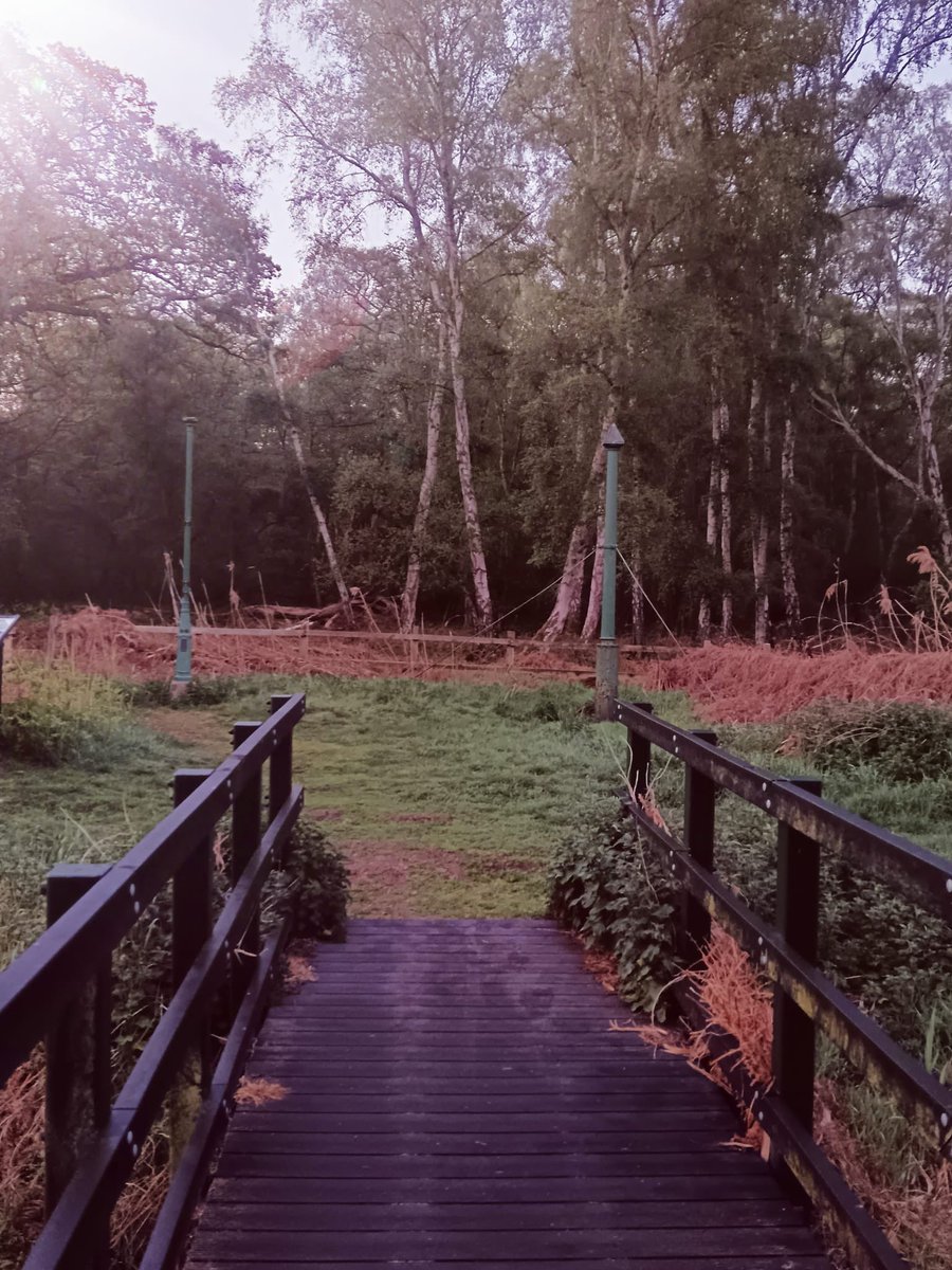 dyke_pig's tweet image. We got up early this morning to greet the sun in the fens. This tends to be a more private event for us - we wear as much or little costume as we choose and dance as freely as we choose.

#mayday #folkdance #folk #Mollydancing