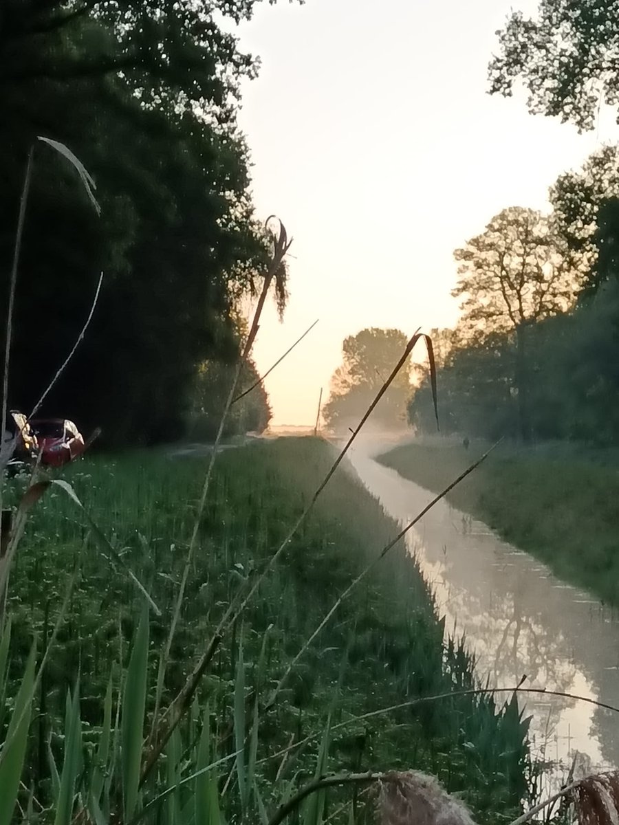 dyke_pig's tweet image. We got up early this morning to greet the sun in the fens. This tends to be a more private event for us - we wear as much or little costume as we choose and dance as freely as we choose.

#mayday #folkdance #folk #Mollydancing