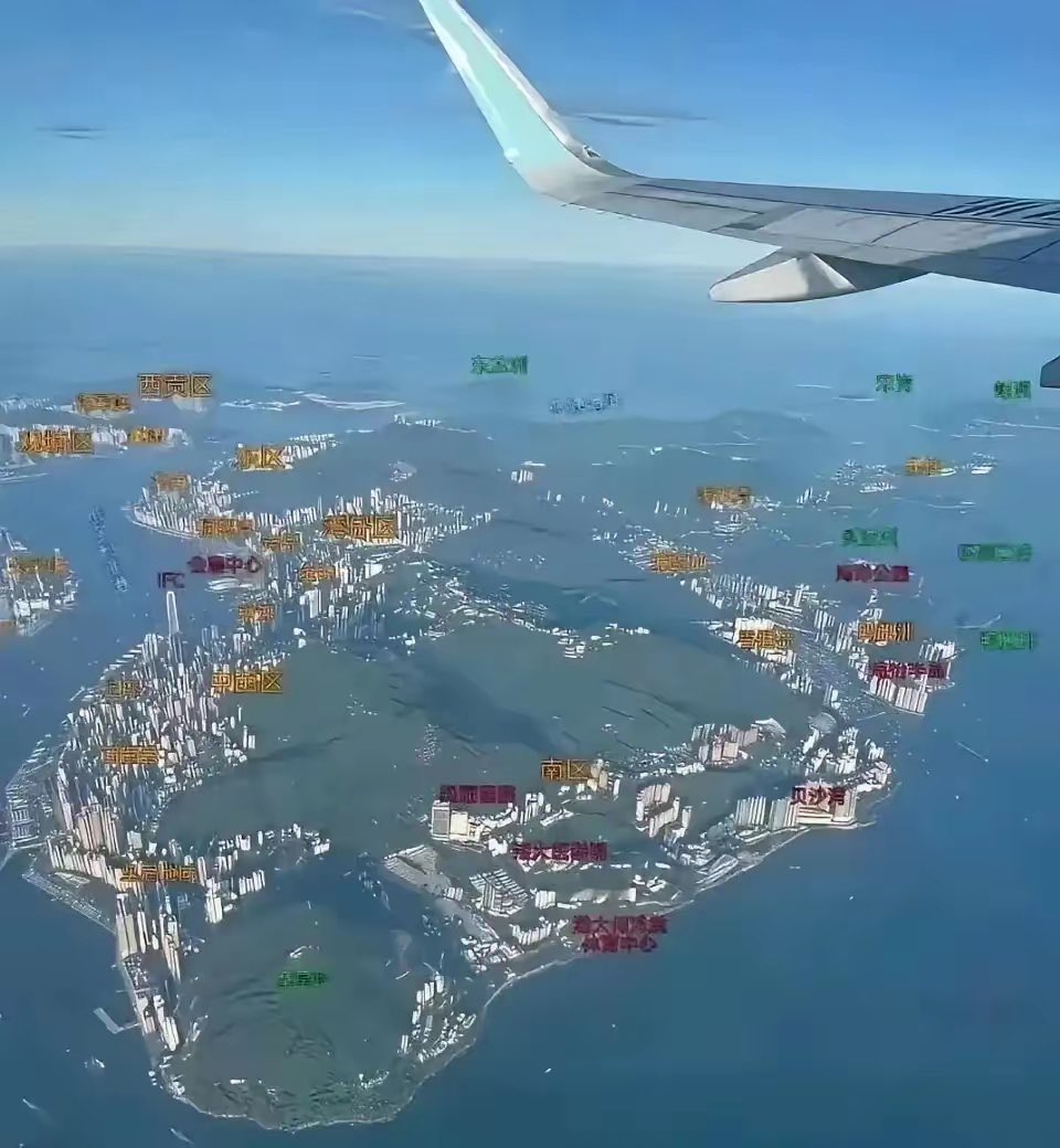 空空道人 tweet media