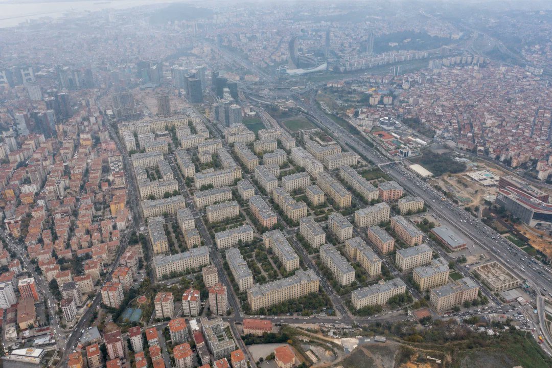 Tiber Zan tweet media