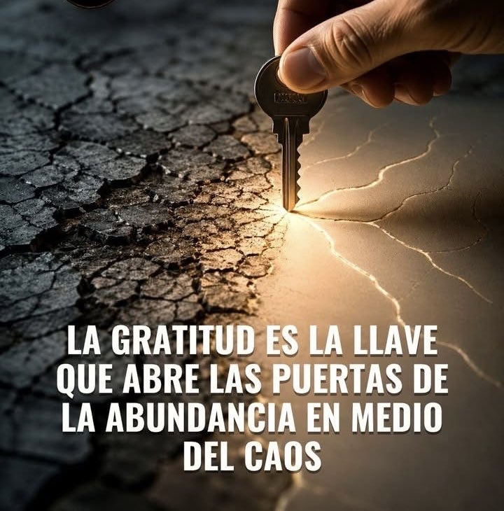 FERCHO tweet media
