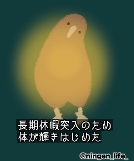 ningen_life tweet media