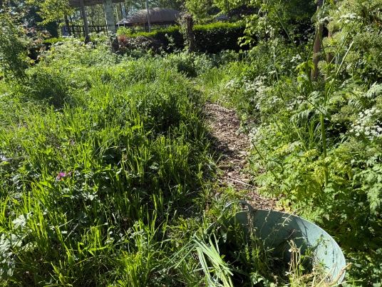 rinibiemans's tweet photo. Volgens Dirk, een vrijwilliger die al vier jaar op #park1943 werkt (en niet op de foto wil), is het park nu op haar allermooist is. Hoewel het nu de tijd is voor het esthetisch grazen is het beter dit niet al te rigide te doen ivm met droogte. #biocrow #biodiversiteit #inheems https://t.co/teS5vAuzjB