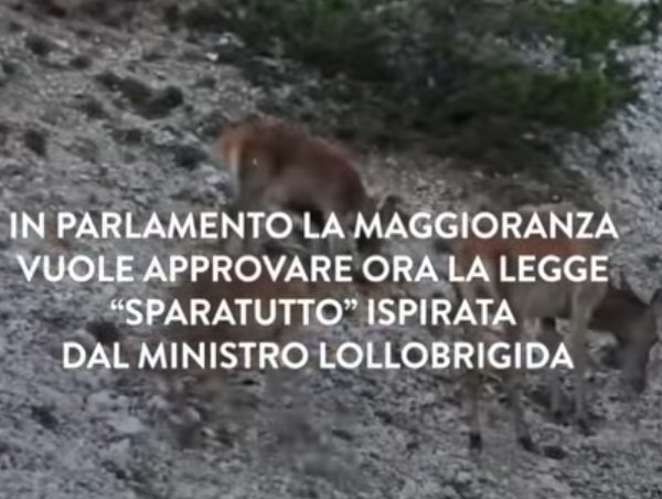 IdaNapolitano5's tweet image. Cita #Gandhi "La civiltà di un popolo si misura da come tratta gli animali"
Poi il suo Ministro Lollobrigida vuole approvare  la legge sparatutto animali. 
Eccovi gli ipocriti al governo!