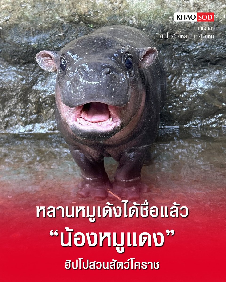 Khaosodonline tweet media