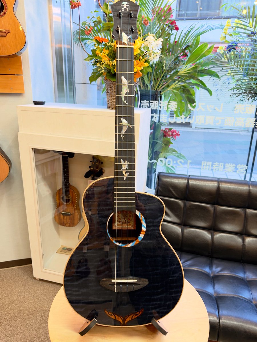 UKULELE BIRD tweet media