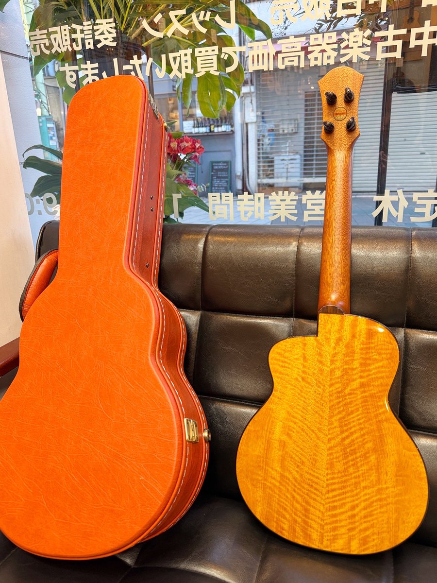 UKULELE BIRD tweet media
