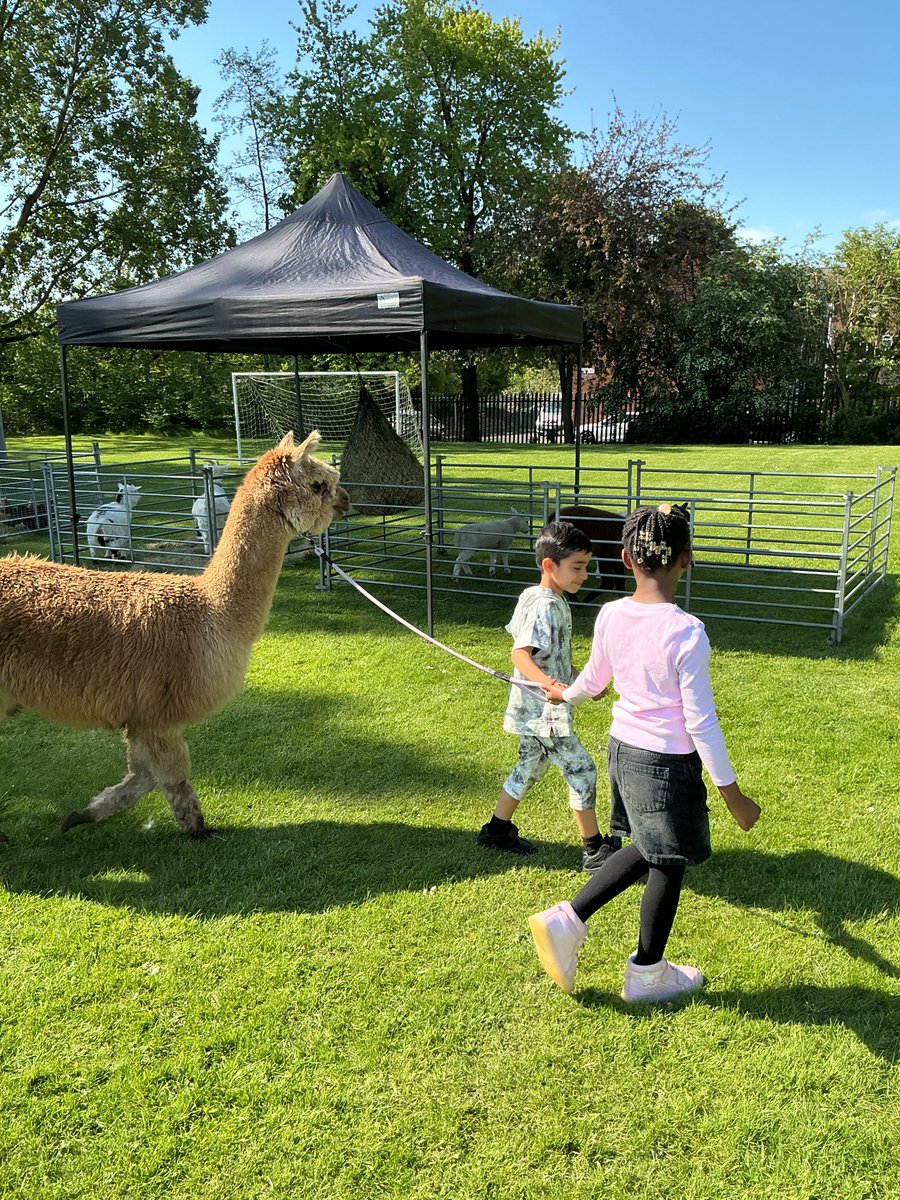StPetersYear1's tweet photo. Year 1 loved having the farm visit today! 🦙🐣🚜🤩 @StPetersAshton https://t.co/5MiNqhvmZ9