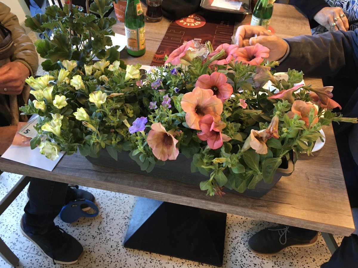 Vinkenzetting KM Puritas ereprijs Geert Messiaen  1 mei 2026  prijsuitreiking in Torentje Rumbeke - 42 vinkeniers - winnaar Carine Vanackere met vogel Jaden met 532 liedjes. Waardering voor de liefhebbers - vinkeniers en het bestuur . Vinkensport is een volks sport