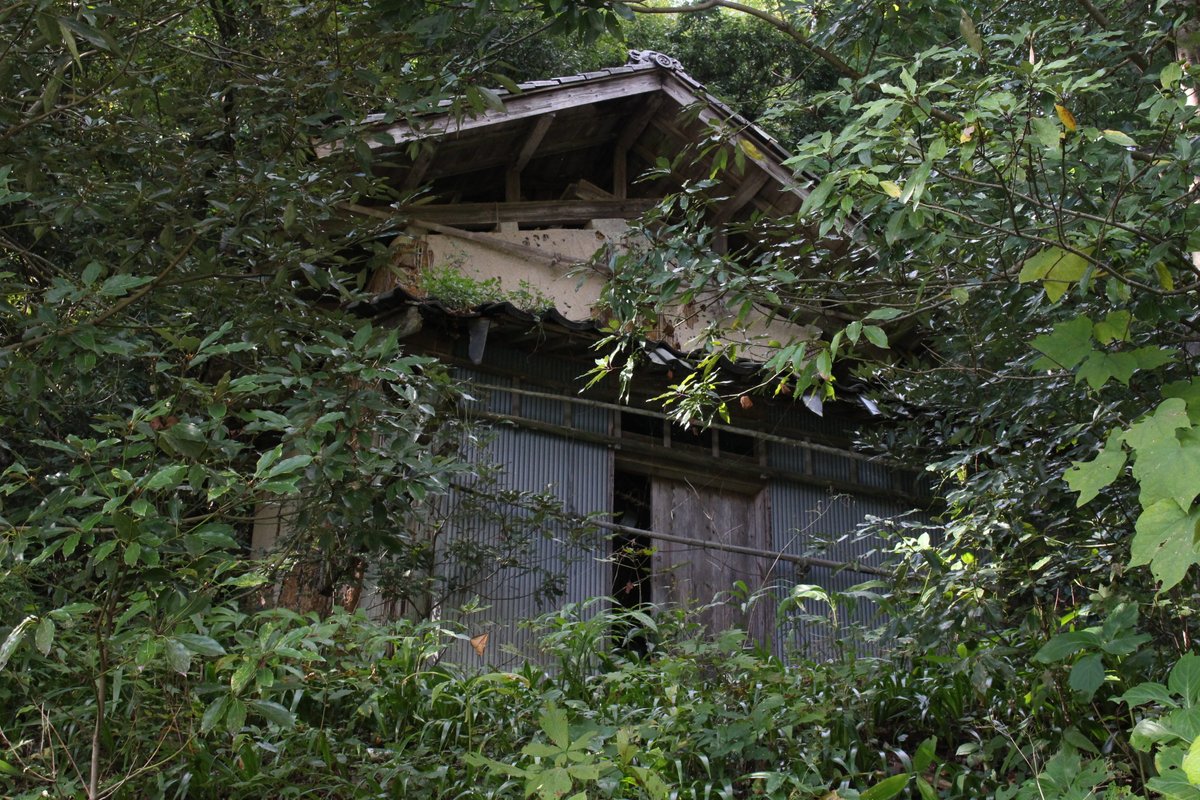 いちのまる🎌にっぽん旅行記 tweet media