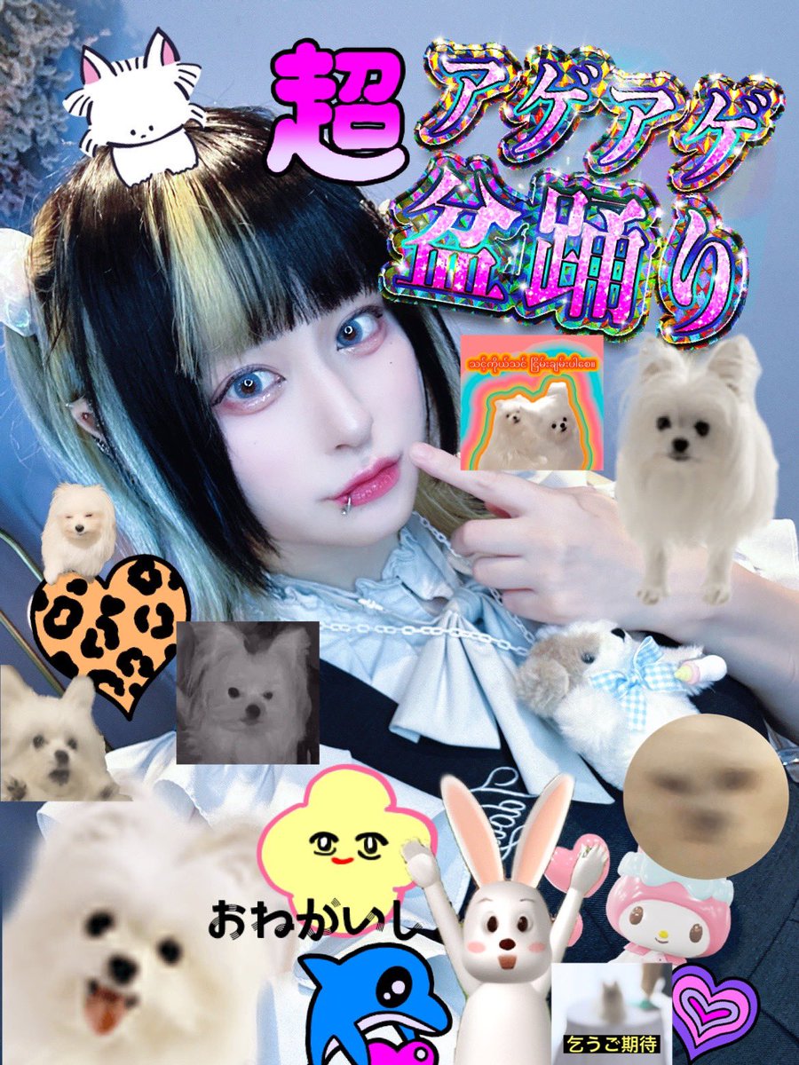 ꒰ঌ いぬはみ ⏻ なみぱ ໒꒱ tweet media