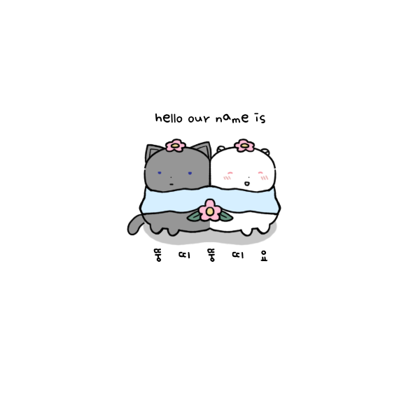 행운 호스피스 🍀 tweet media